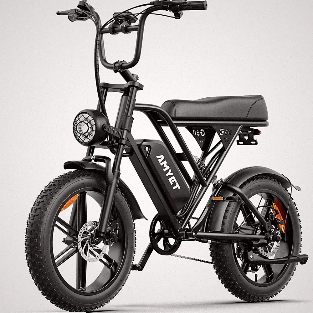 Electric Bike For Adult 1500W 48V/20Ah 20'' Fat Tire Ebike Mountain e Bicycle US